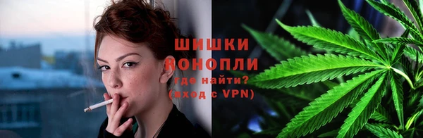 ПСИЛОЦИБИНОВЫЕ ГРИБЫ Арсеньев