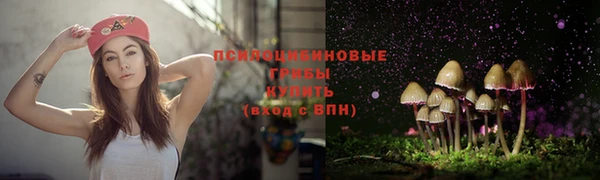 apvp Армянск