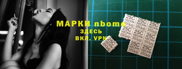 ПСИЛОЦИБИНОВЫЕ ГРИБЫ Арсеньев