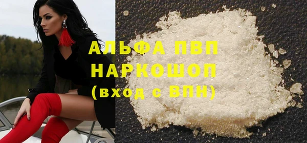 PSILOCYBIN Аркадак