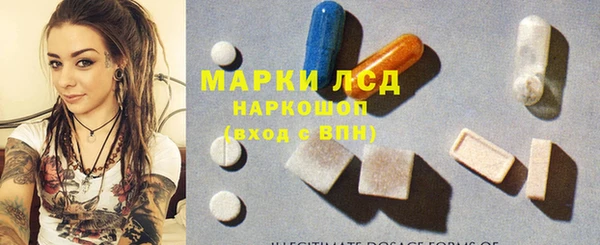 ПСИЛОЦИБИНОВЫЕ ГРИБЫ Арсеньев