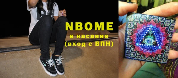 ПСИЛОЦИБИНОВЫЕ ГРИБЫ Арсеньев