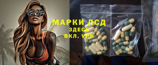 ПСИЛОЦИБИНОВЫЕ ГРИБЫ Арсеньев